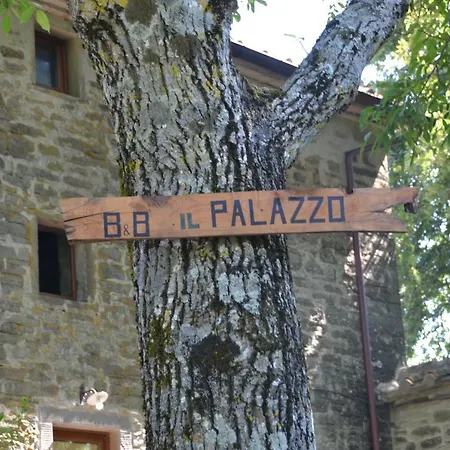 B&B Il Palazzo-3